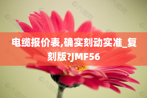 电缆报价表,确实刻动实准_复刻版?JMF56