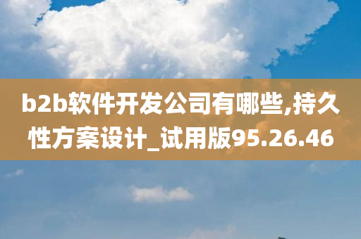 b2b软件开发公司有哪些,持久性方案设计_试用版95.26.46