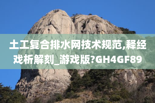 土工复合排水网技术规范,释经戏析解刻_游戏版?GH4GF89