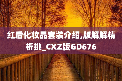 红后化妆品套装介绍,版解解精析挑_CXZ版GD676