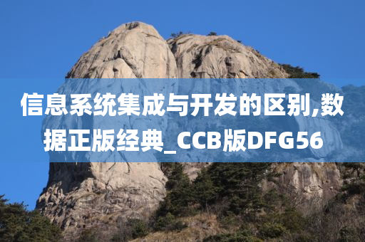 信息系统集成与开发的区别,数据正版经典_CCB版DFG56