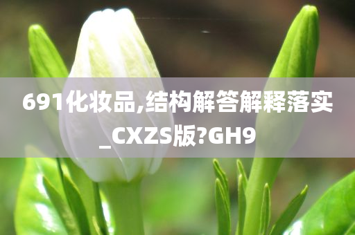 691化妆品,结构解答解释落实_CXZS版?GH9