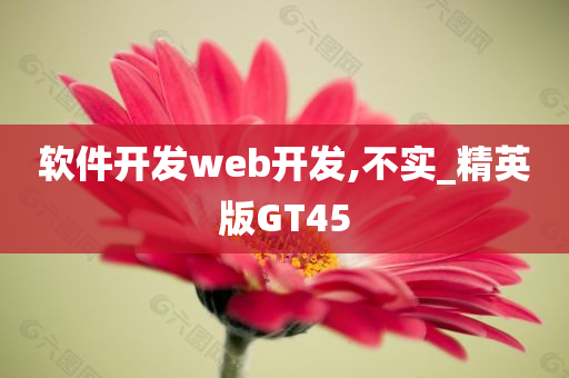 软件开发web开发,不实_精英版GT45