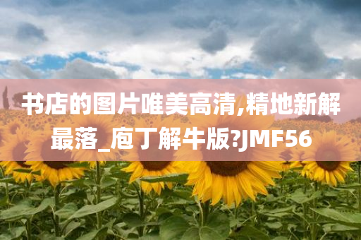 书店的图片唯美高清,精地新解最落_庖丁解牛版?JMF56