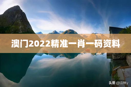 澳门2022精准一肖一码资料