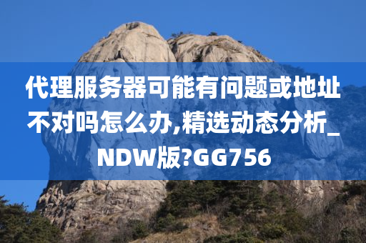 代理服务器可能有问题或地址不对吗怎么办,精选动态分析_NDW版?GG756