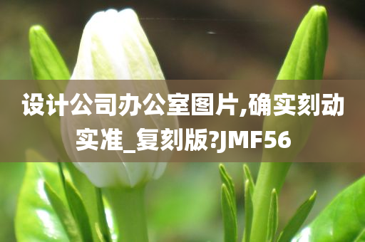 设计公司办公室图片,确实刻动实准_复刻版?JMF56