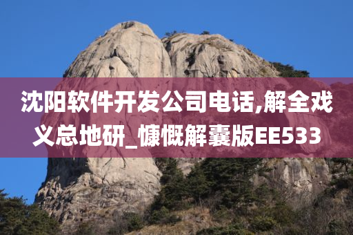 沈阳软件开发公司电话,解全戏义总地研_慷慨解囊版EE533