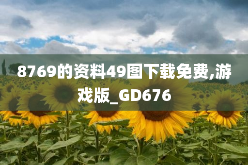 8769的资料49图下载免费,游戏版_GD676