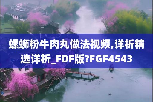 螺蛳粉牛肉丸做法视频,详析精选详析_FDF版?FGF4543