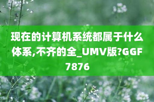 现在的计算机系统都属于什么体系,不齐的全_UMV版?GGF7876