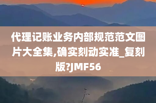 代理记账业务内部规范范文图片大全集,确实刻动实准_复刻版?JMF56