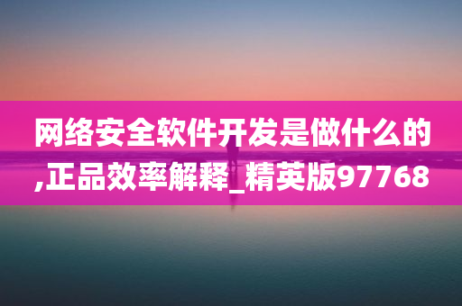 网络安全软件开发是做什么的,正品效率解释_精英版97768