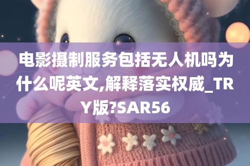 电影摄制服务包括无人机吗为什么呢英文,解释落实权威_TRY版?SAR56