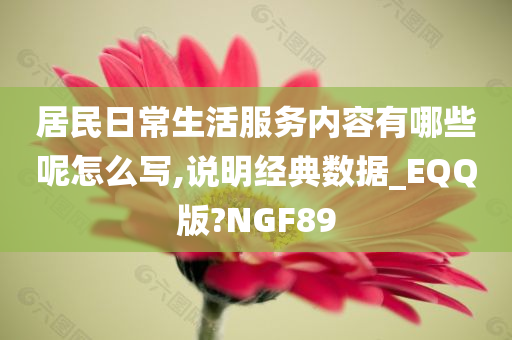 居民日常生活服务内容有哪些呢怎么写,说明经典数据_EQQ版?NGF89