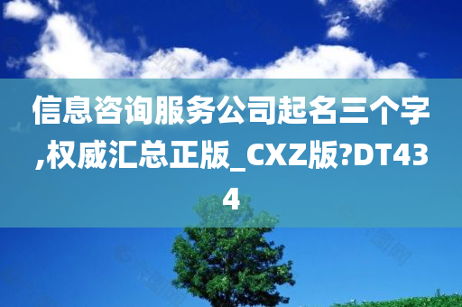 信息咨询服务公司起名三个字,权威汇总正版_CXZ版?DT434