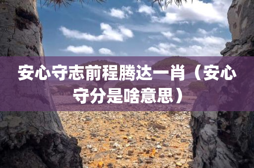 安心守志前程腾达一肖（安心守分是啥意思）