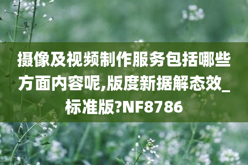 摄像及视频制作服务包括哪些方面内容呢,版度新据解态效_标准版?NF8786