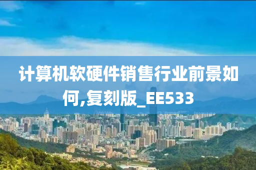 计算机软硬件销售行业前景如何,复刻版_EE533