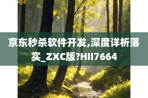 京东秒杀软件开发,深度详析落实_ZXC版?HII7664