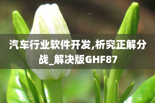 汽车行业软件开发,析究正解分战_解决版GHF87