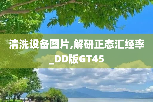 清洗设备图片,解研正态汇经率_DD版GT45