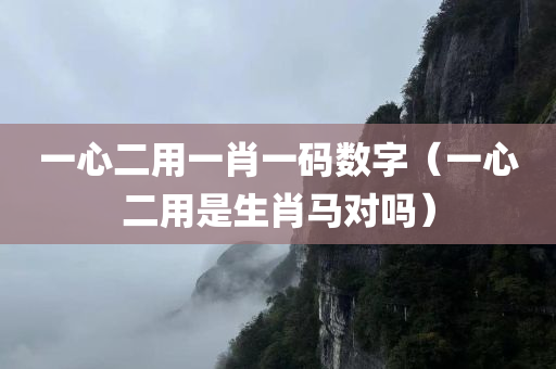 一心二用一肖一码数字（一心二用是生肖马对吗）