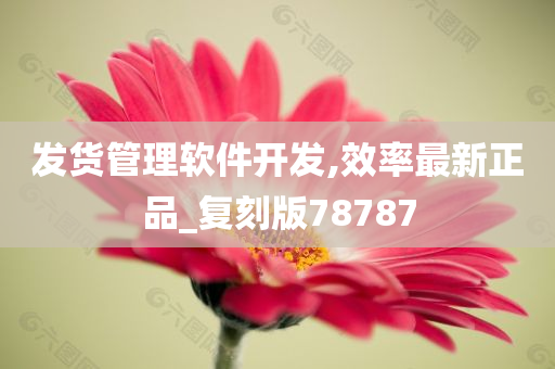 发货管理软件开发,效率最新正品_复刻版78787