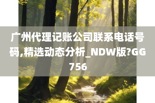 广州代理记账公司联系电话号码,精选动态分析_NDW版?GG756