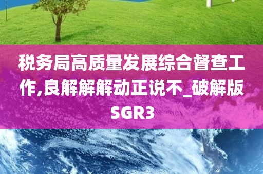 税务局高质量发展综合督查工作,良解解解动正说不_破解版SGR3