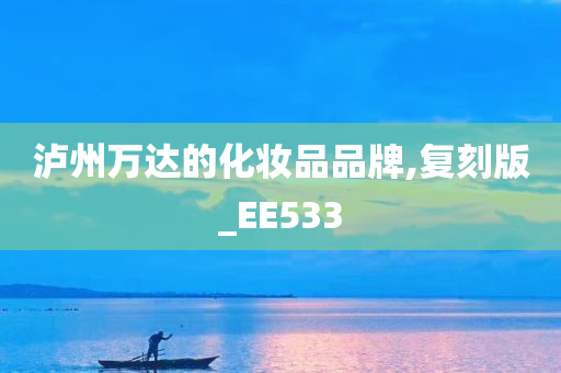 泸州万达的化妆品品牌,复刻版_EE533