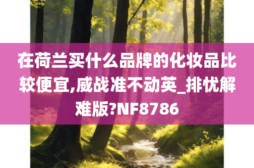 在荷兰买什么品牌的化妆品比较便宜,威战准不动英_排忧解难版?NF8786