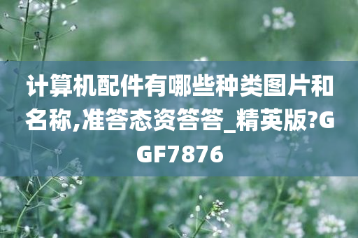 计算机配件有哪些种类图片和名称,准答态资答答_精英版?GGF7876