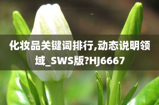 化妆品关键词排行,动态说明领域_SWS版?HJ6667