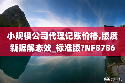 小规模公司代理记账价格,版度新据解态效_标准版?NF8786