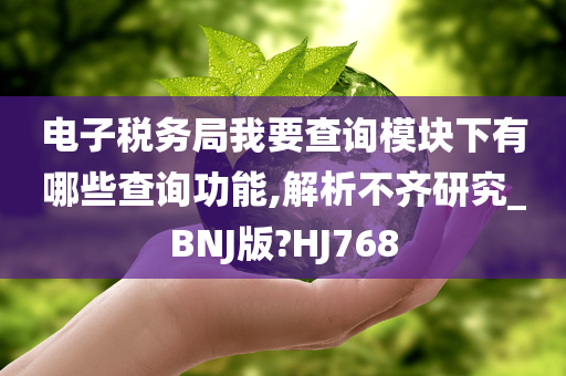 电子税务局我要查询模块下有哪些查询功能,解析不齐研究_BNJ版?HJ768