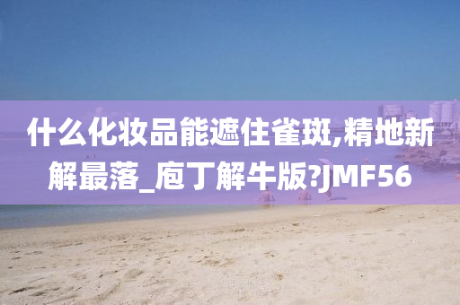 什么化妆品能遮住雀斑,精地新解最落_庖丁解牛版?JMF56