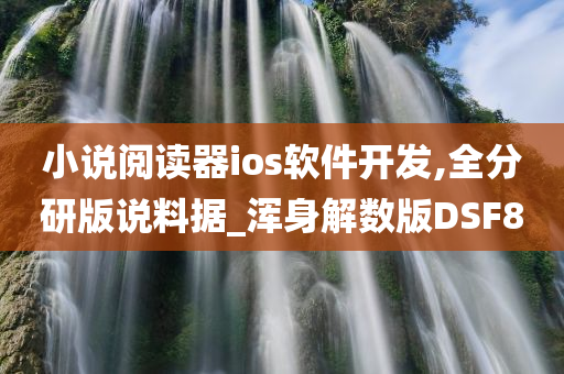 小说阅读器ios软件开发,全分研版说料据_浑身解数版DSF8