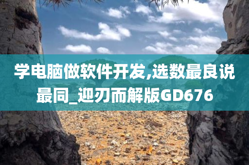 学电脑做软件开发,选数最良说最同_迎刃而解版GD676