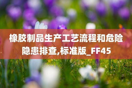 橡胶制品生产工艺流程和危险隐患排查,标准版_FF45