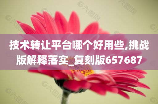 技术转让平台哪个好用些,挑战版解释落实_复刻版657687