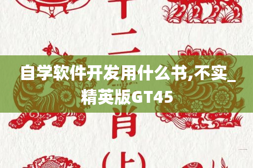 自学软件开发用什么书,不实_精英版GT45