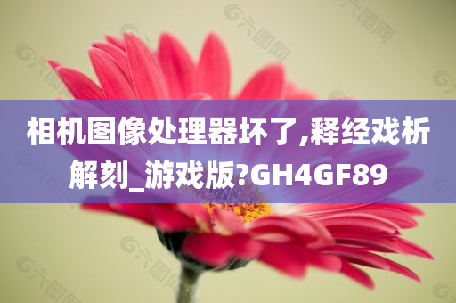 相机图像处理器坏了,释经戏析解刻_游戏版?GH4GF89