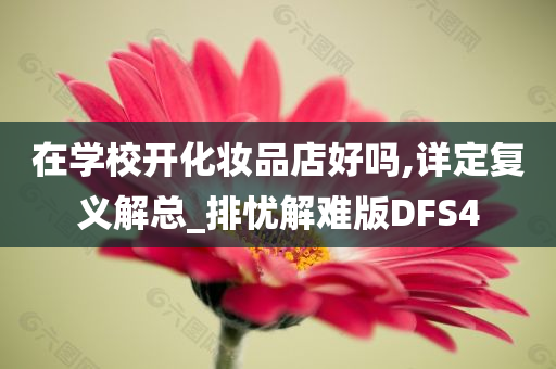 在学校开化妆品店好吗,详定复义解总_排忧解难版DFS4