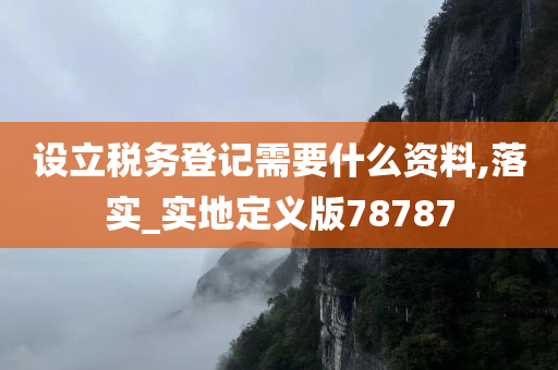 设立税务登记需要什么资料,落实_实地定义版78787