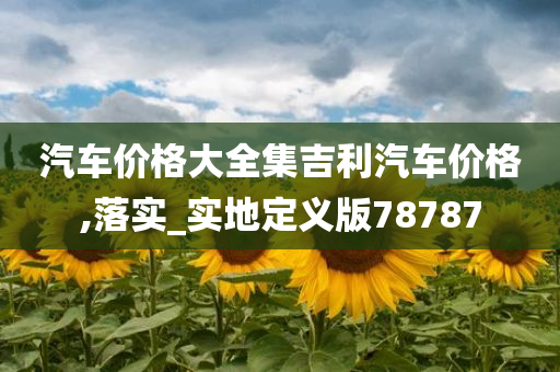 汽车价格大全集吉利汽车价格,落实_实地定义版78787