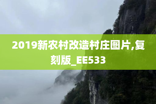 2019新农村改造村庄图片,复刻版_EE533