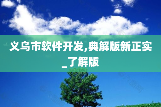 义乌市软件开发,典解版新正实_了解版