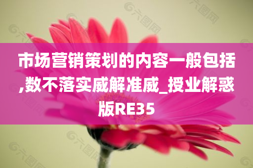 市场营销策划的内容一般包括,数不落实威解准威_授业解惑版RE35