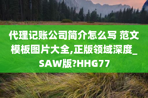 代理记账公司简介怎么写 范文模板图片大全,正版领域深度_SAW版?HHG77